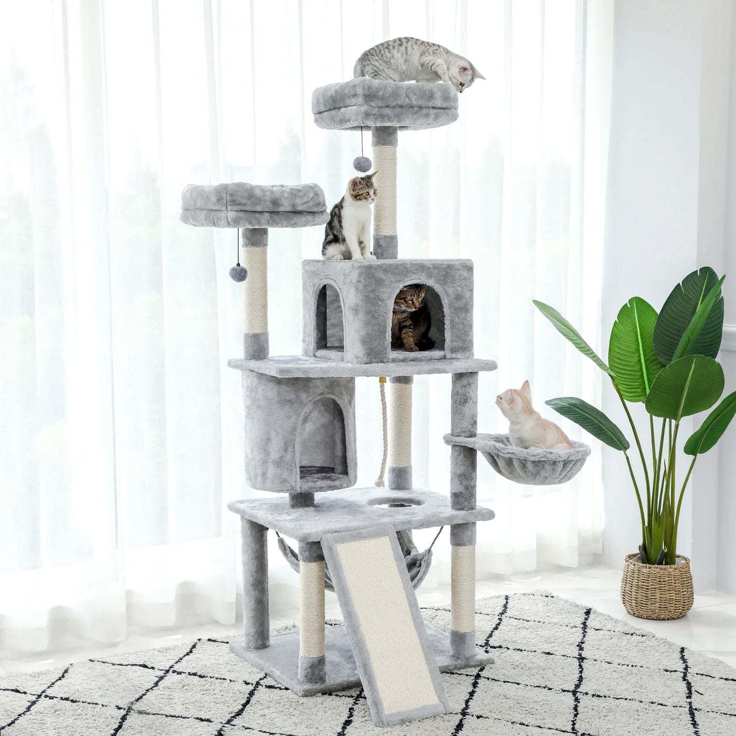 Multilevel Cat Towers with Luxury Condos