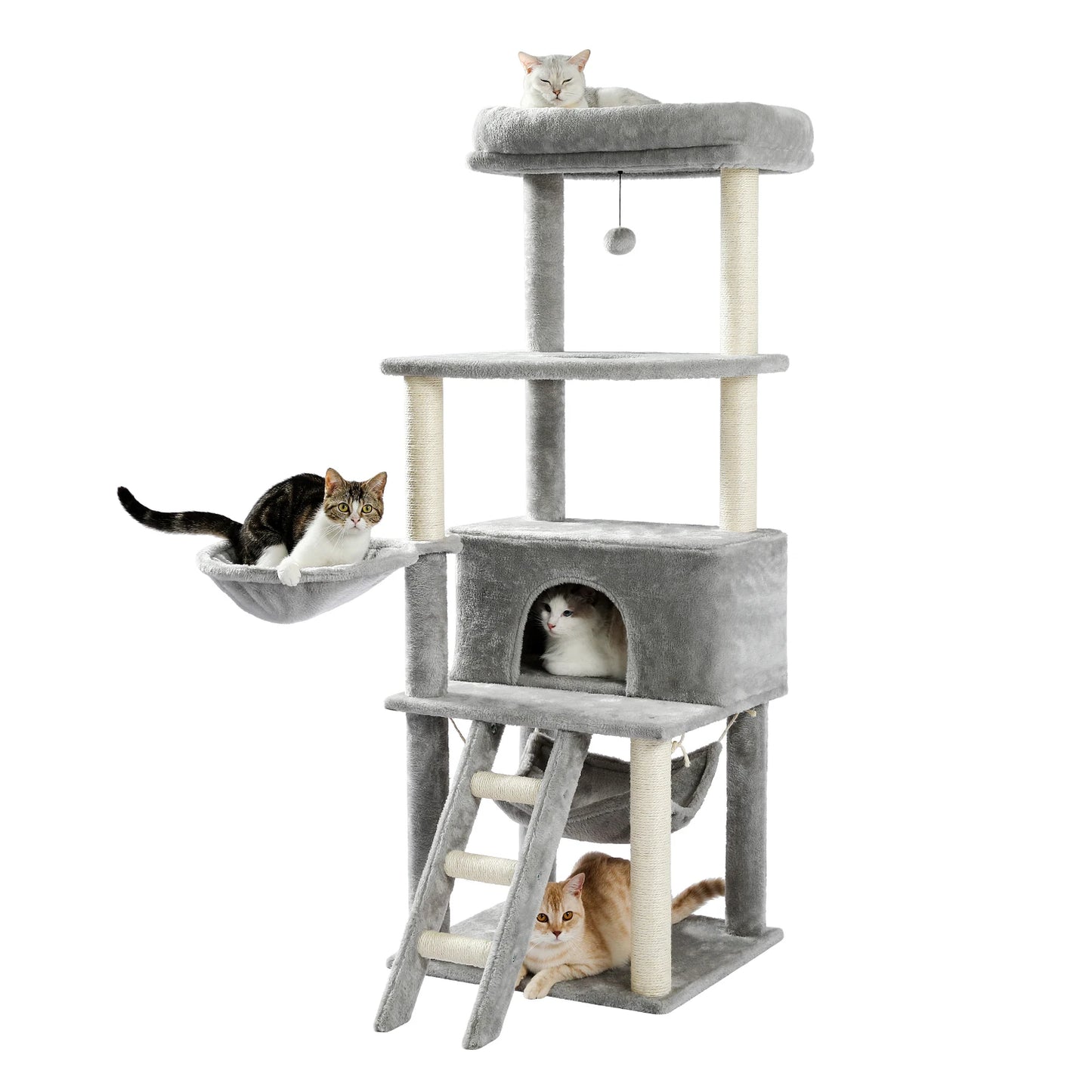 Multilevel Cat Towers with Luxury Condos