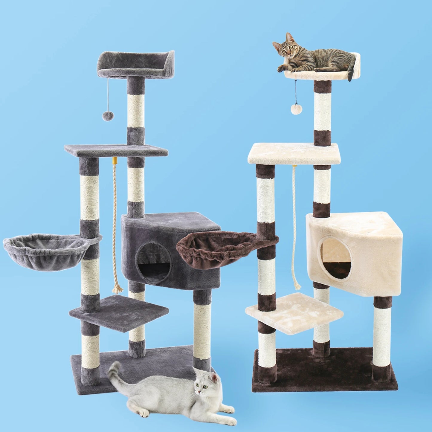 Multilevel Cat Towers with Luxury Condos